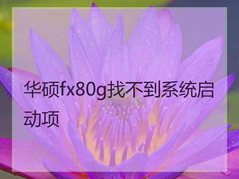 华硕fx80g找不到系统启动项