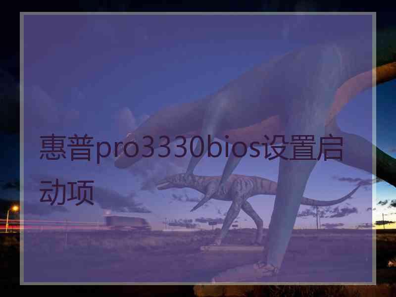 惠普pro3330bios设置启动项