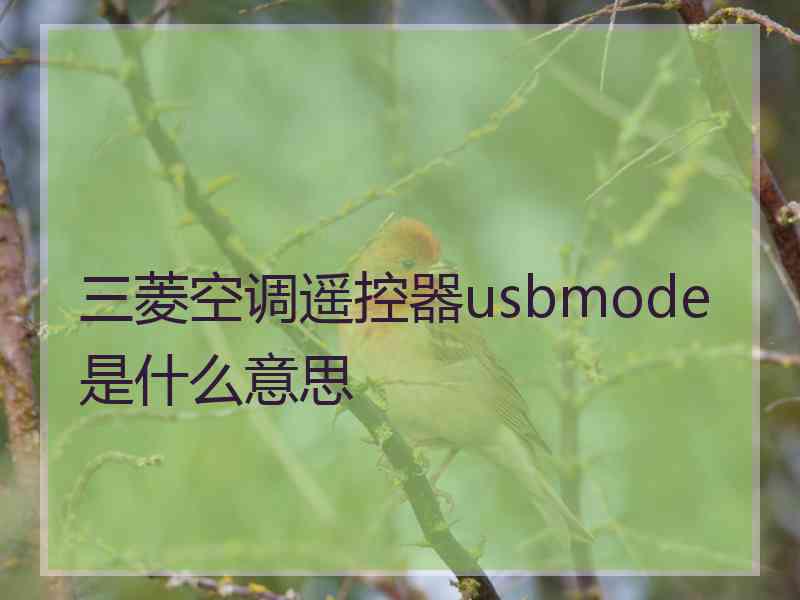 三菱空调遥控器usbmode是什么意思