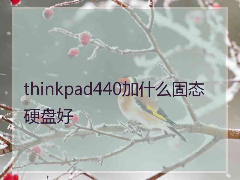 thinkpad440加什么固态硬盘好