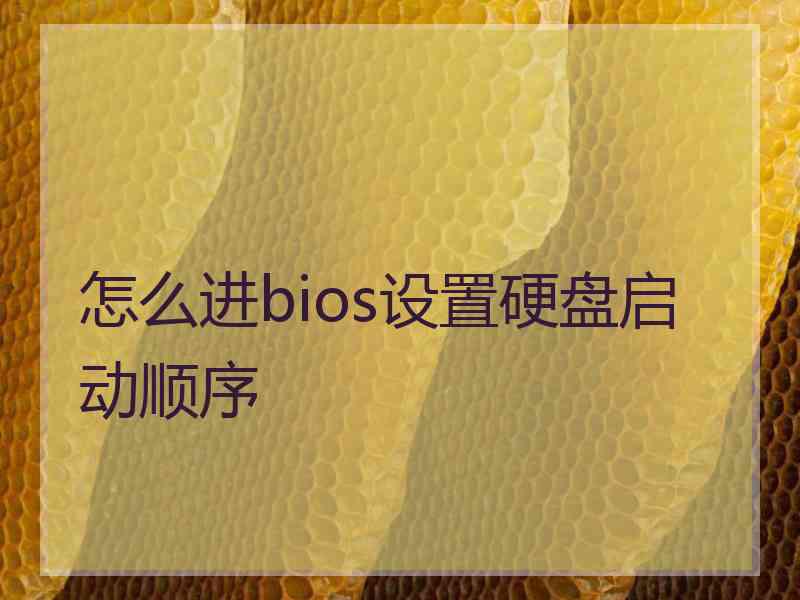 怎么进bios设置硬盘启动顺序