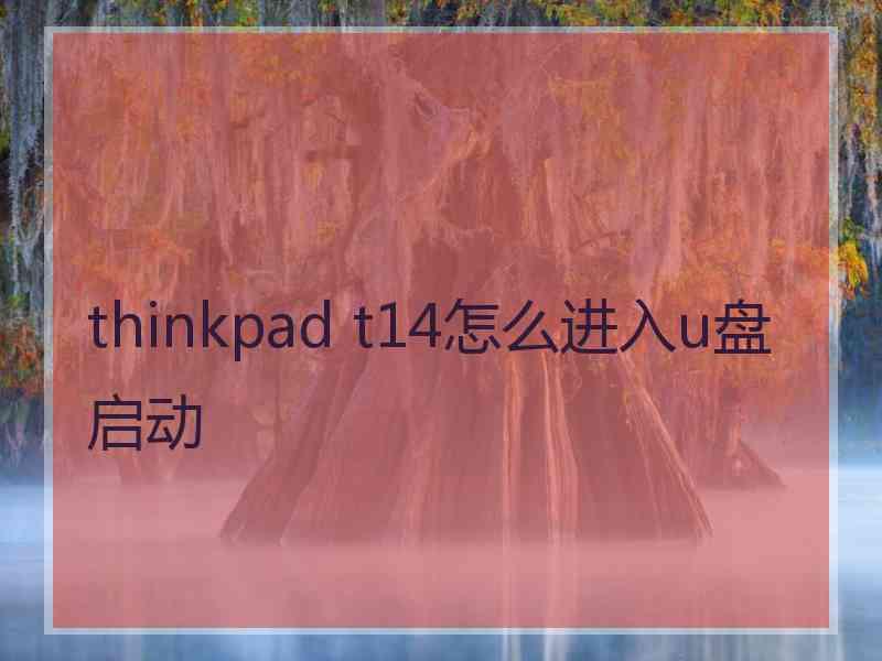 thinkpad t14怎么进入u盘启动