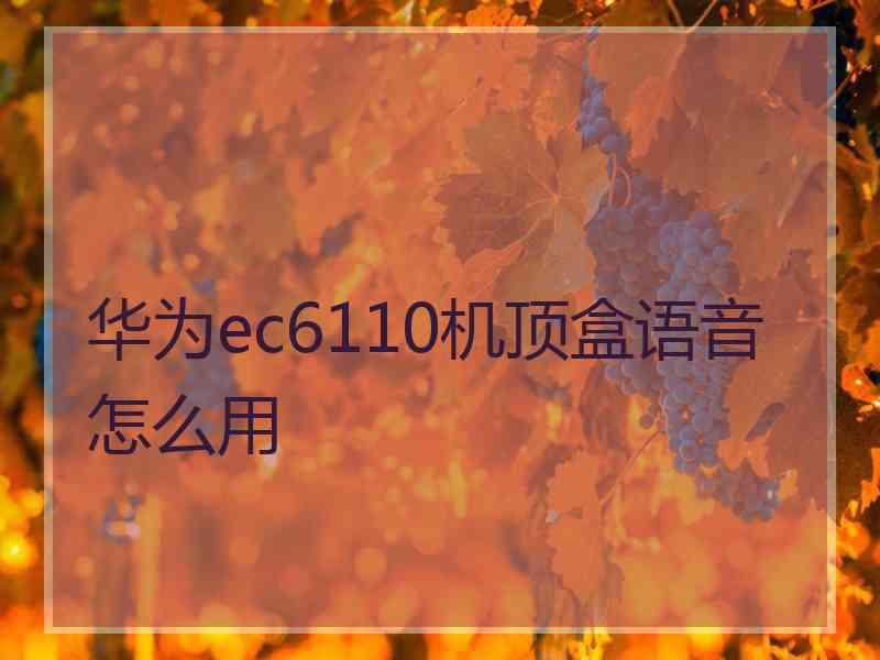 华为ec6110机顶盒语音怎么用