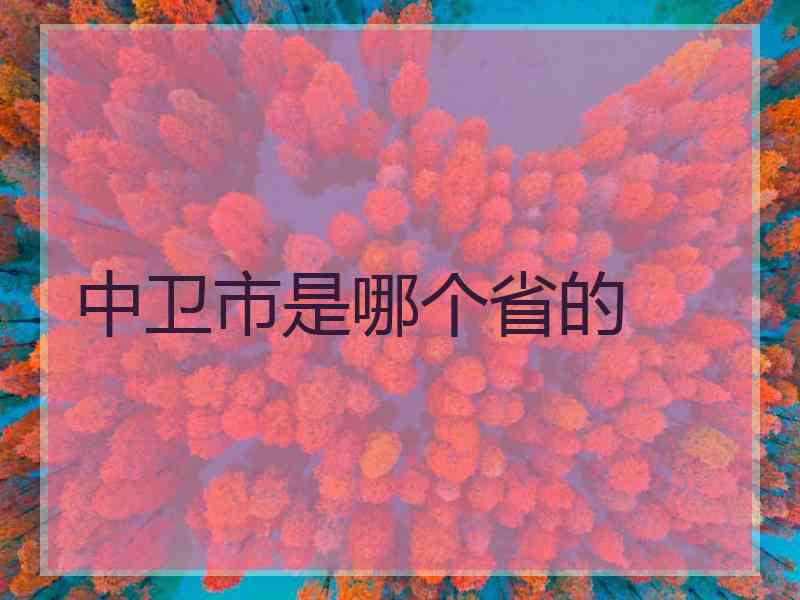 中卫市是哪个省的