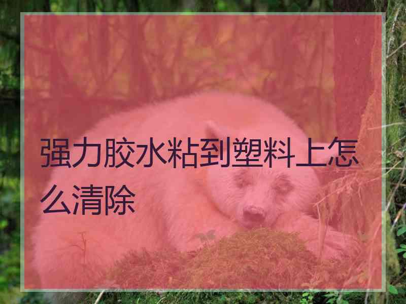 强力胶水粘到塑料上怎么清除