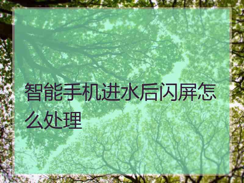 智能手机进水后闪屏怎么处理