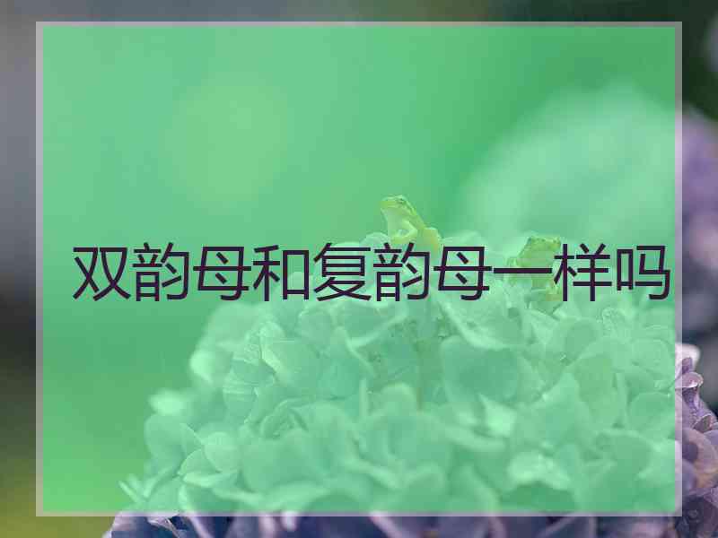 双韵母和复韵母一样吗