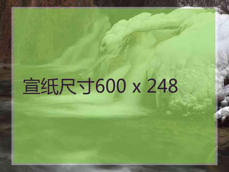 宣纸尺寸600 x 248