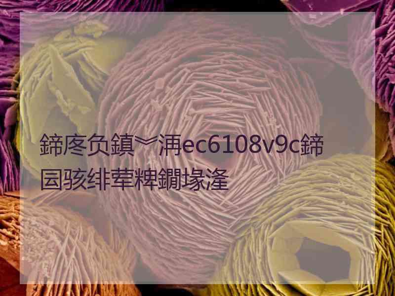 鍗庝负鎮︾洅ec6108v9c鍗囩骇绯荤粺鐗堟湰