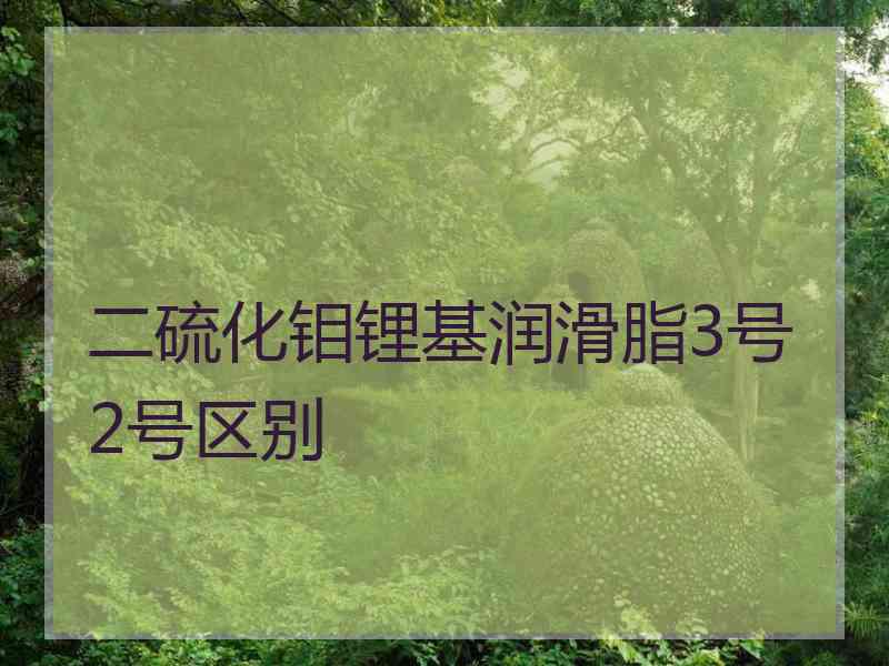 二硫化钼锂基润滑脂3号2号区别