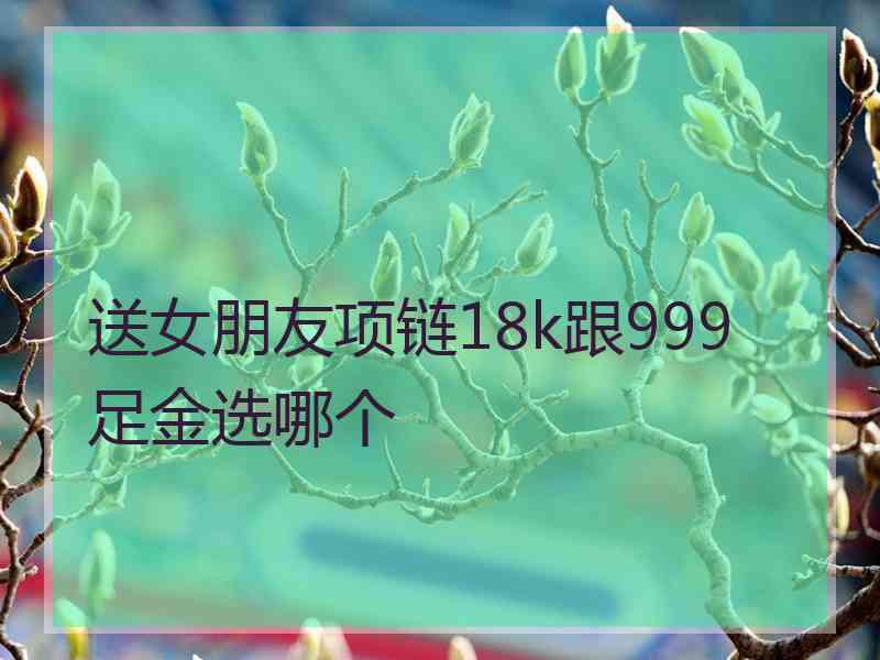 送女朋友项链18k跟999足金选哪个