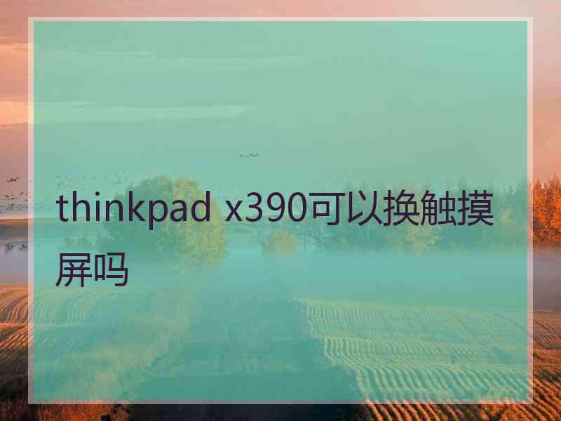 thinkpad x390可以换触摸屏吗