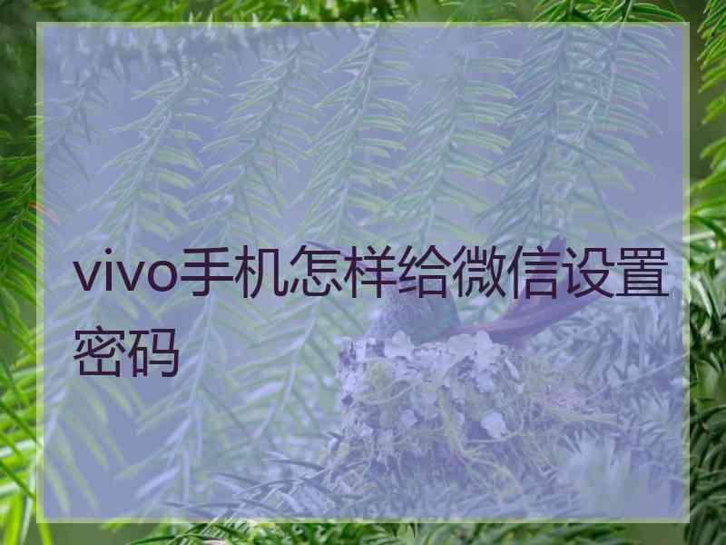 vivo手机怎样给微信设置密码