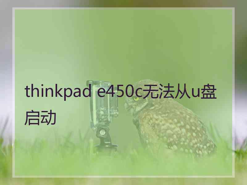 thinkpad e450c无法从u盘启动