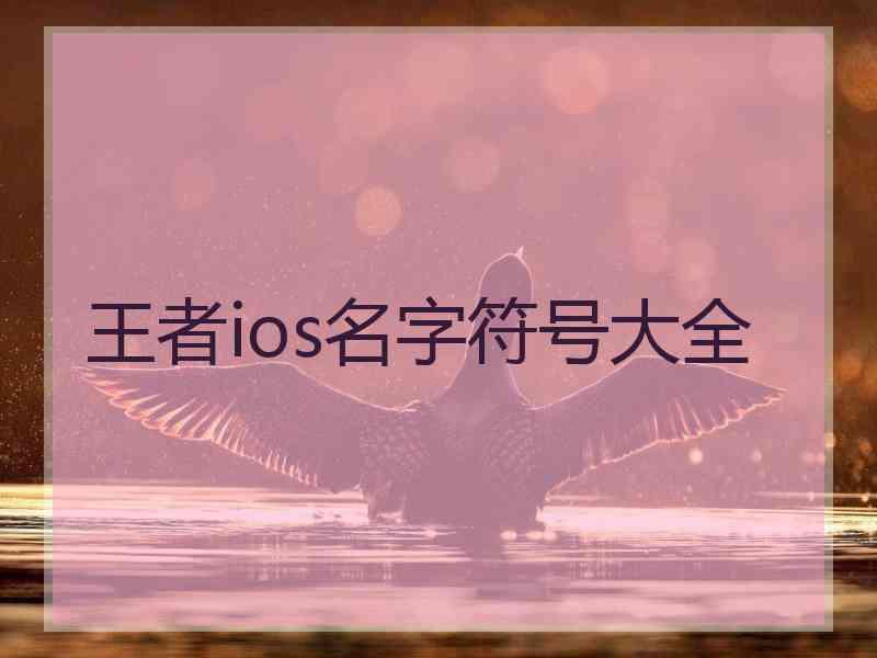 王者ios名字符号大全