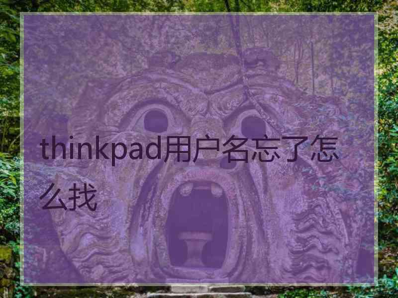 thinkpad用户名忘了怎么找