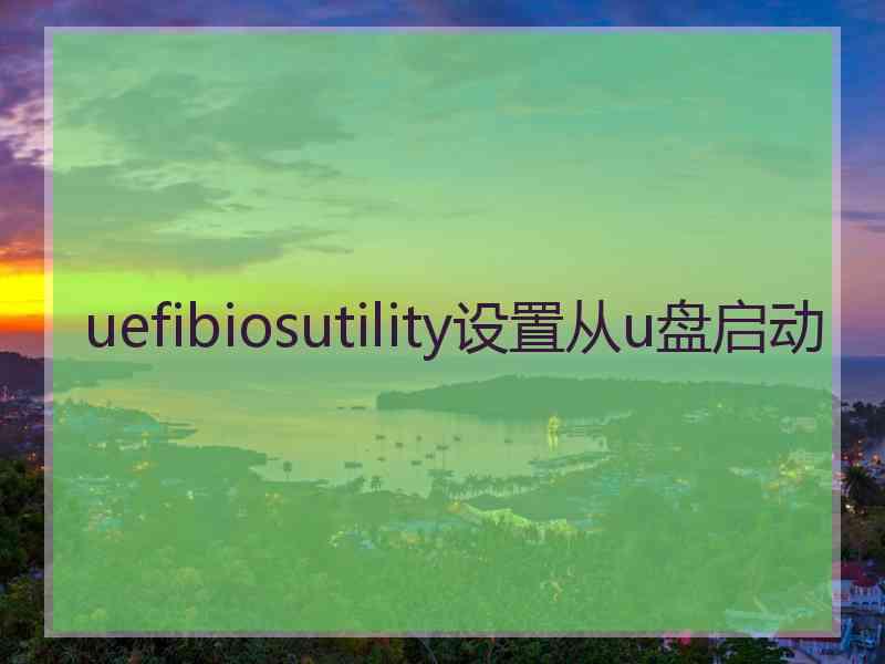 uefibiosutility设置从u盘启动