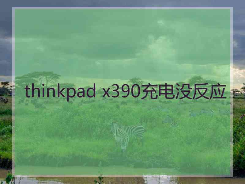 thinkpad x390充电没反应