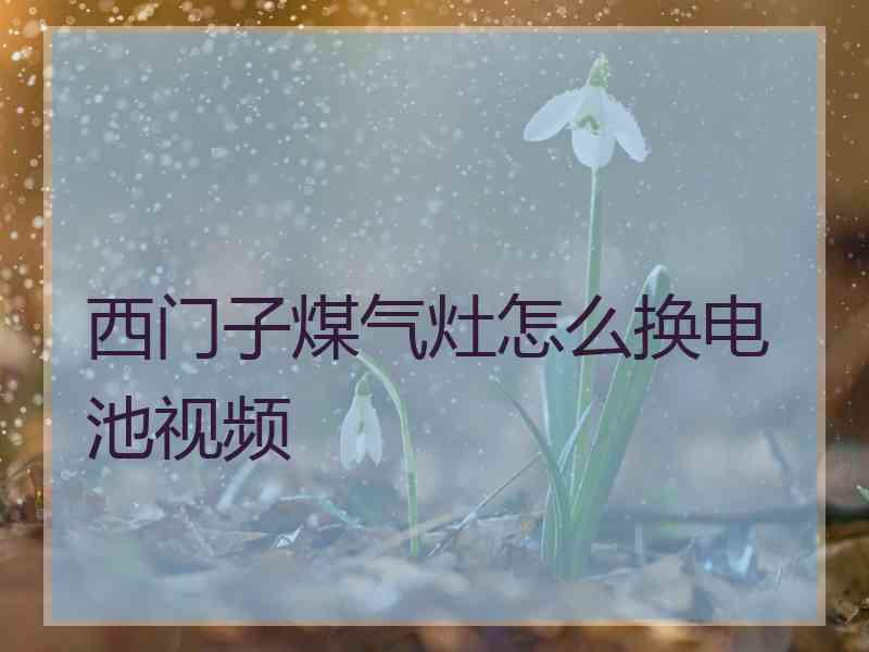 西门子煤气灶怎么换电池视频