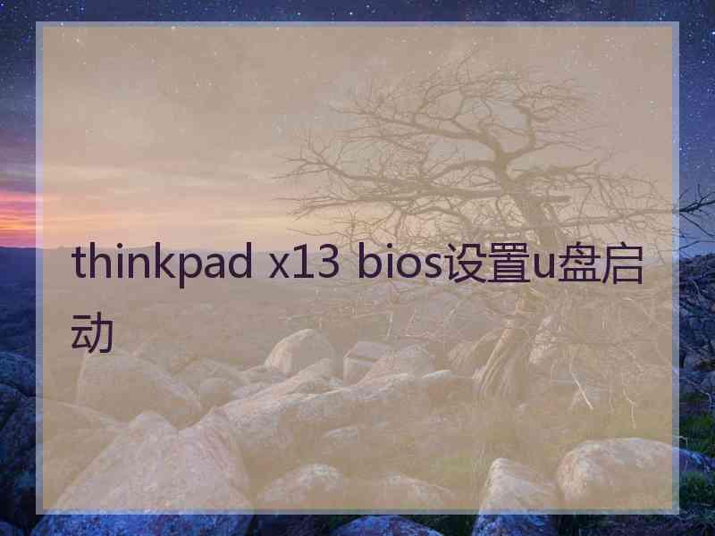 thinkpad x13 bios设置u盘启动