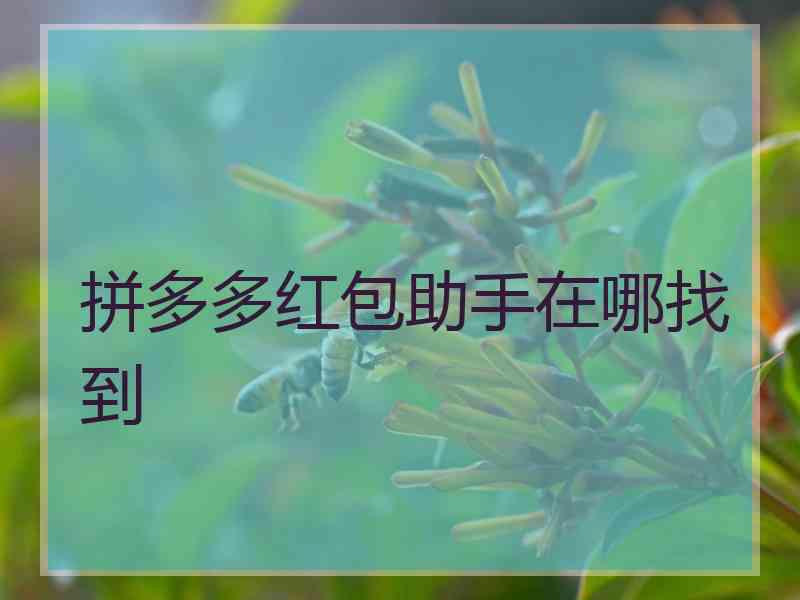 拼多多红包助手在哪找到