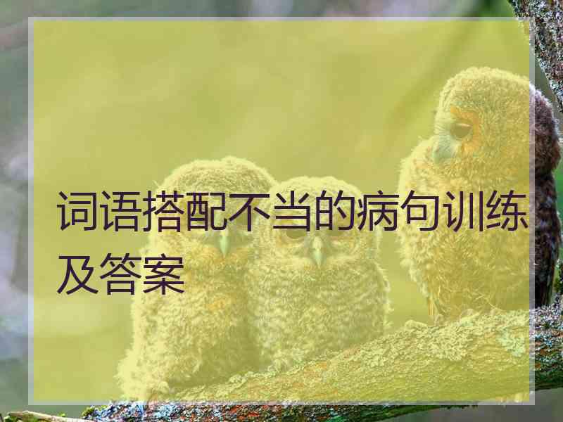 词语搭配不当的病句训练及答案