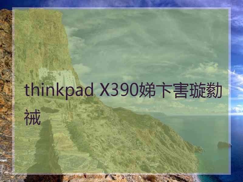 thinkpad X390娣卞害璇勬祴