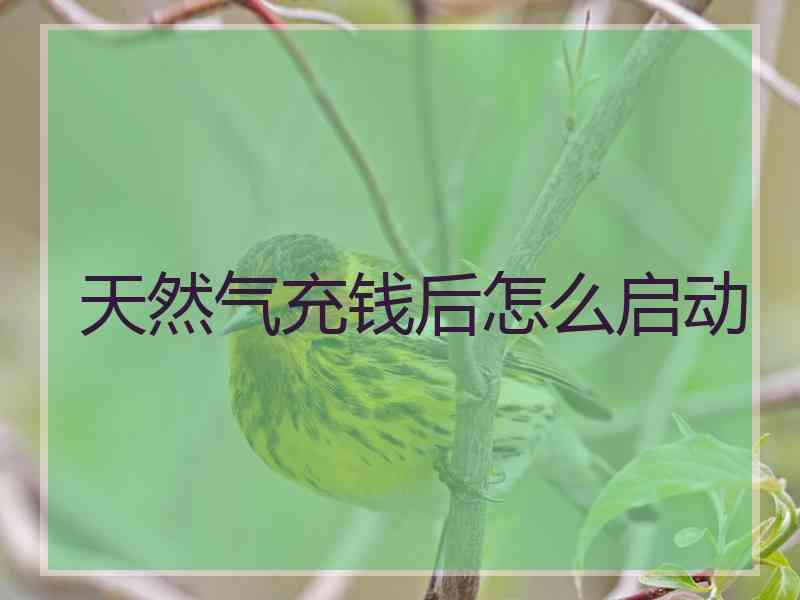 天然气充钱后怎么启动