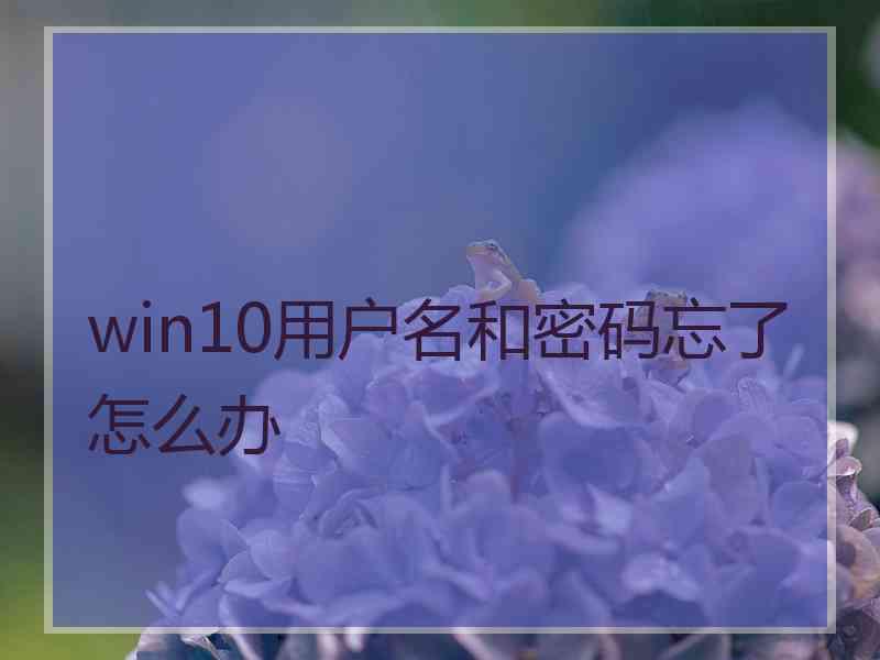 win10用户名和密码忘了怎么办