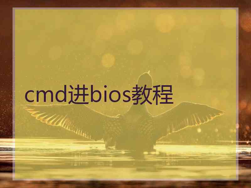 cmd进bios教程