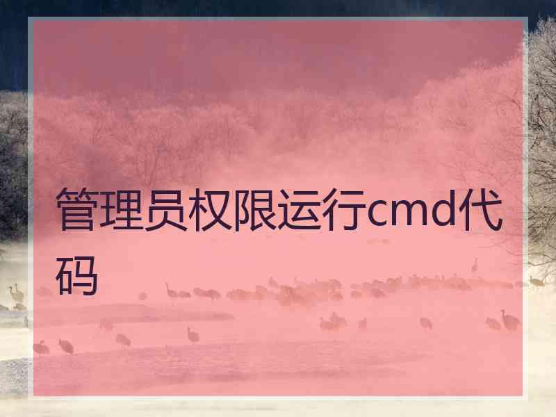 管理员权限运行cmd代码