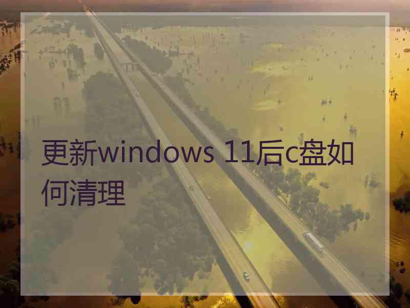 更新windows 11后c盘如何清理