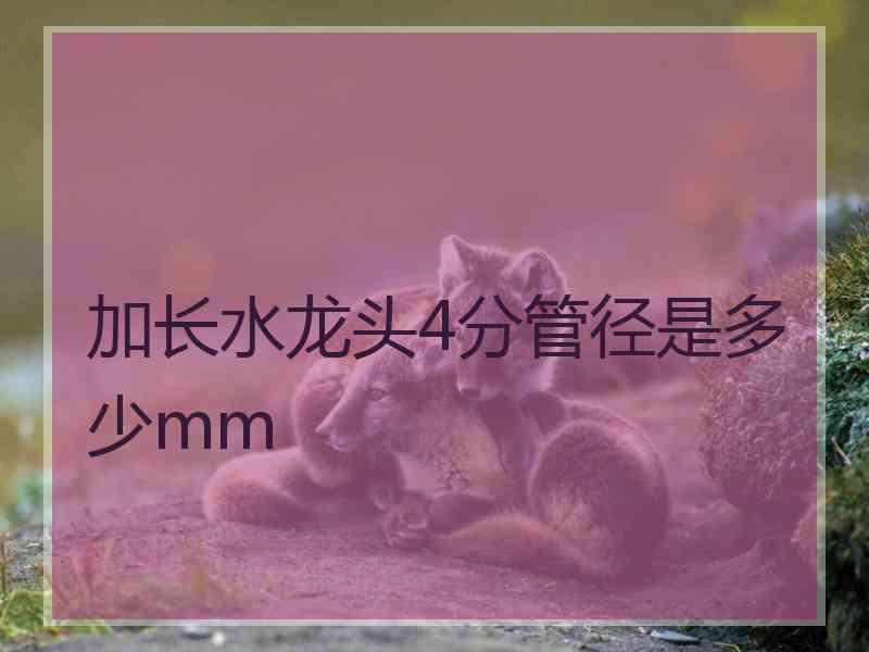 加长水龙头4分管径是多少mm