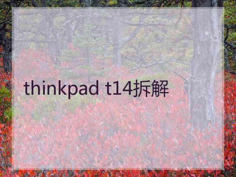 thinkpad t14拆解