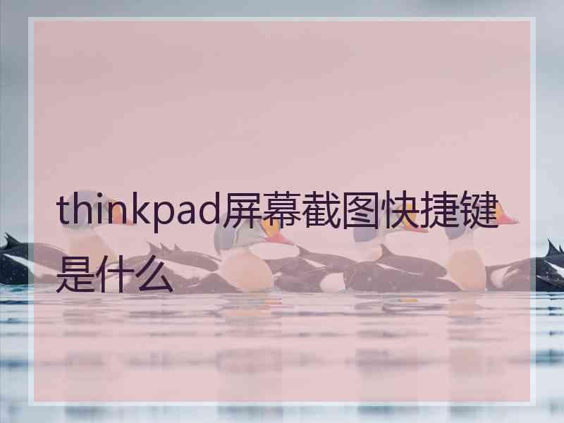 thinkpad屏幕截图快捷键是什么