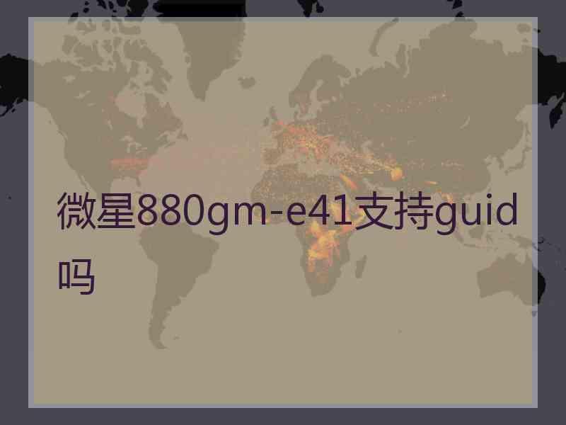 微星880gm-e41支持guid吗