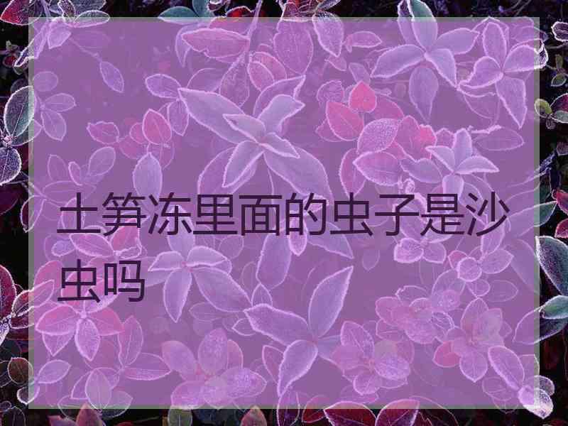 土笋冻里面的虫子是沙虫吗