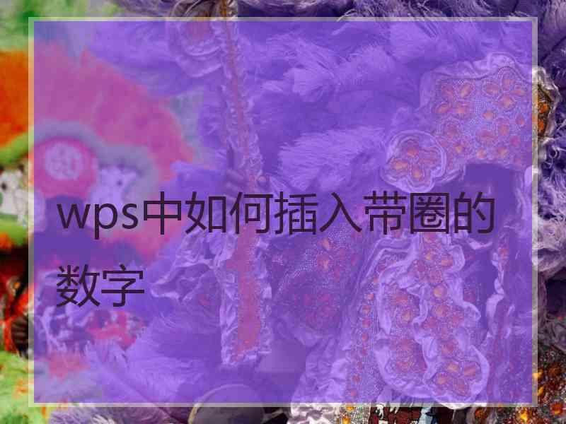 wps中如何插入带圈的数字