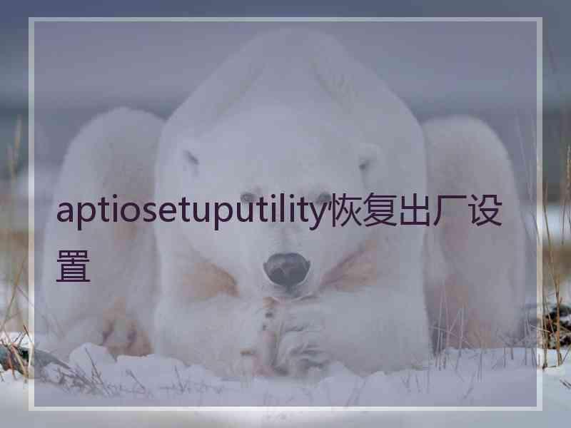 aptiosetuputility恢复出厂设置