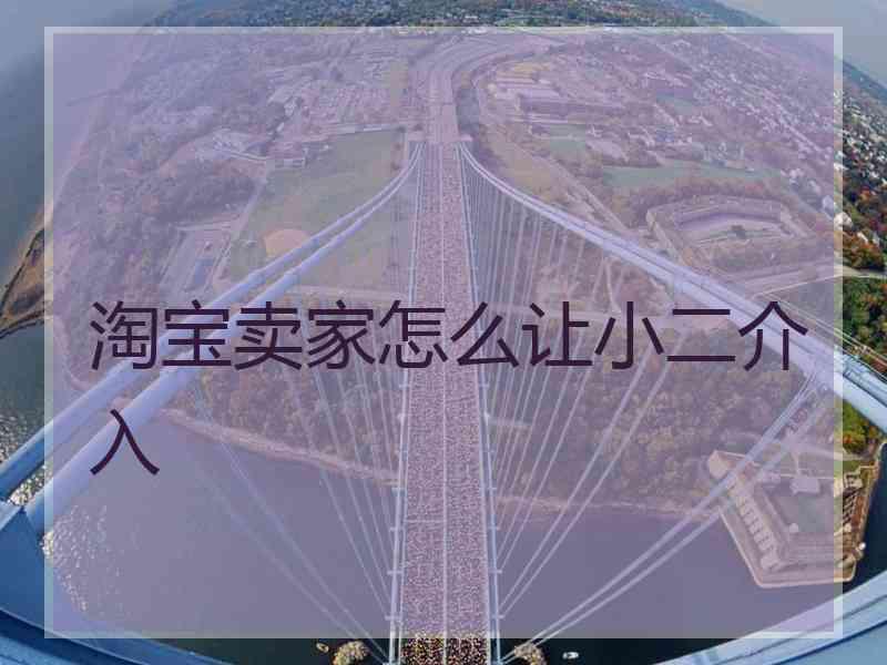 淘宝卖家怎么让小二介入