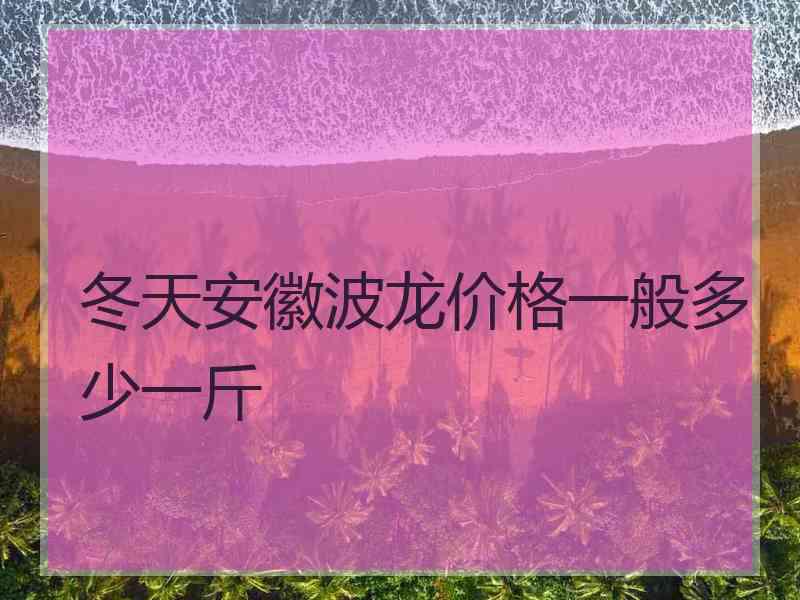 冬天安徽波龙价格一般多少一斤