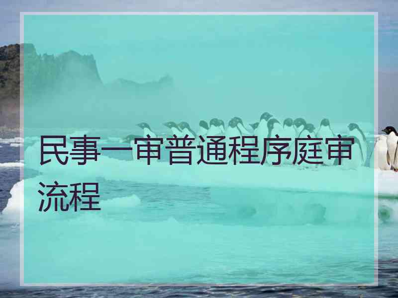 民事一审普通程序庭审流程