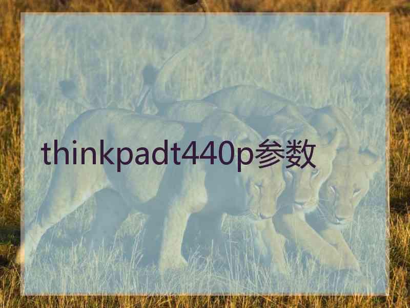 thinkpadt440p参数