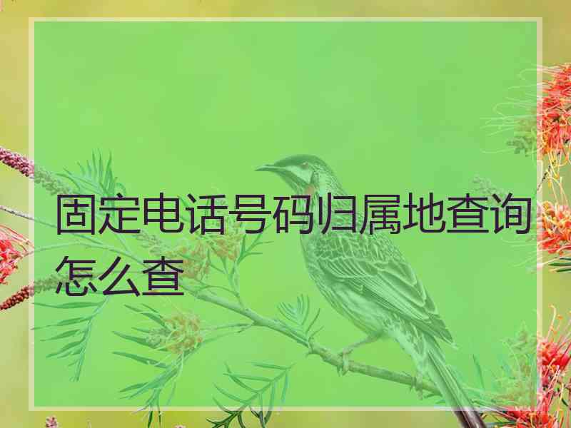 固定电话号码归属地查询怎么查