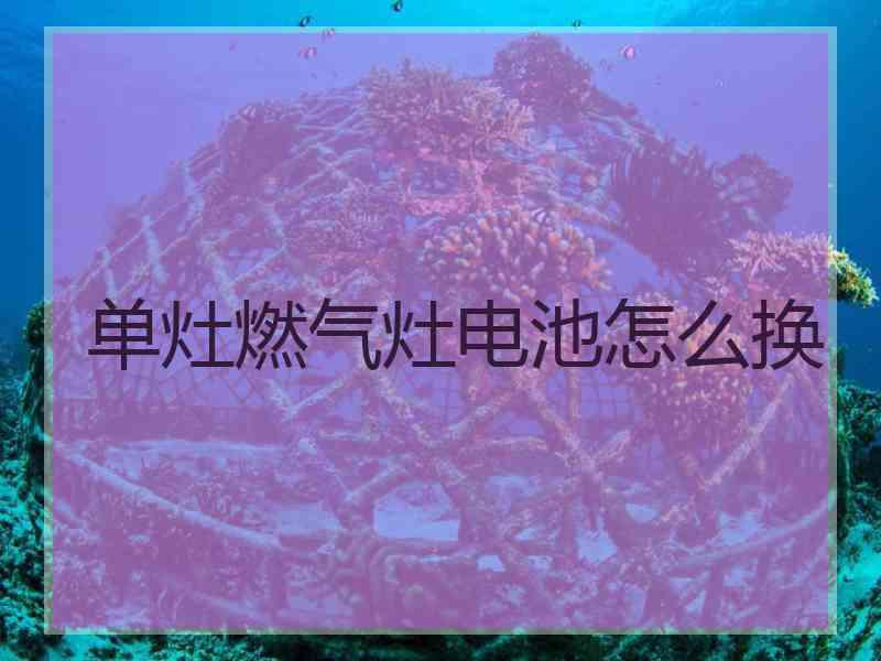 单灶燃气灶电池怎么换