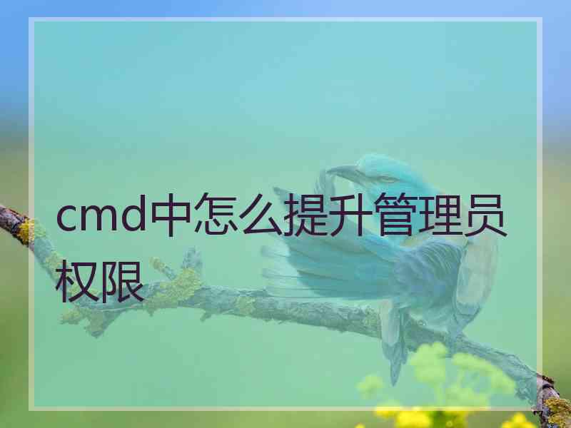 cmd中怎么提升管理员权限