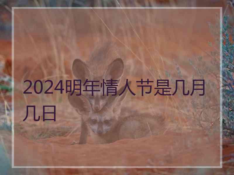 2024明年情人节是几月几日