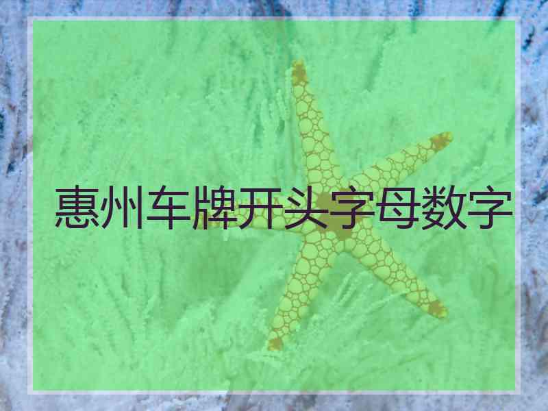 惠州车牌开头字母数字