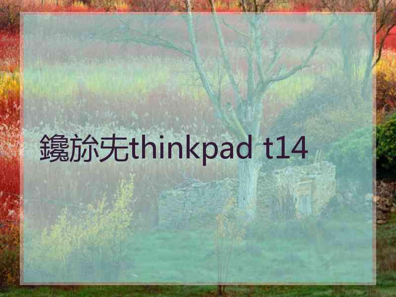 鑱旀兂thinkpad t14