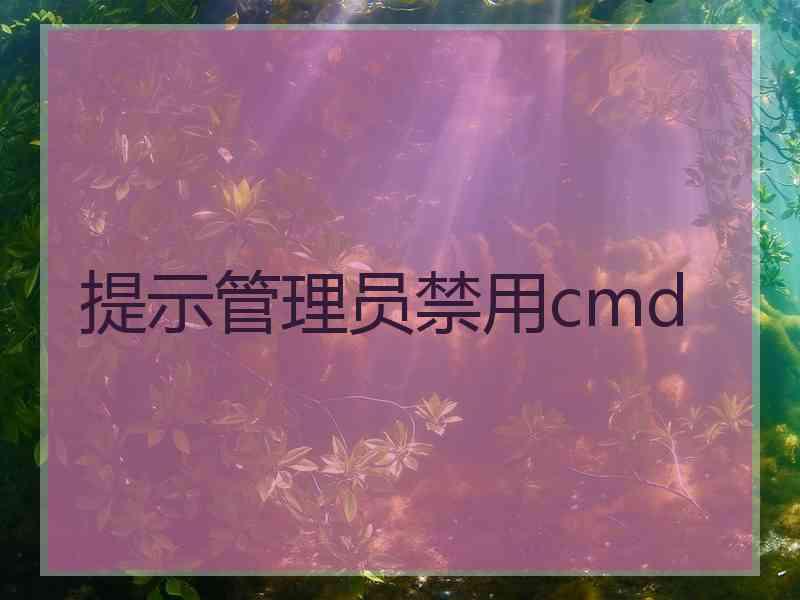 提示管理员禁用cmd